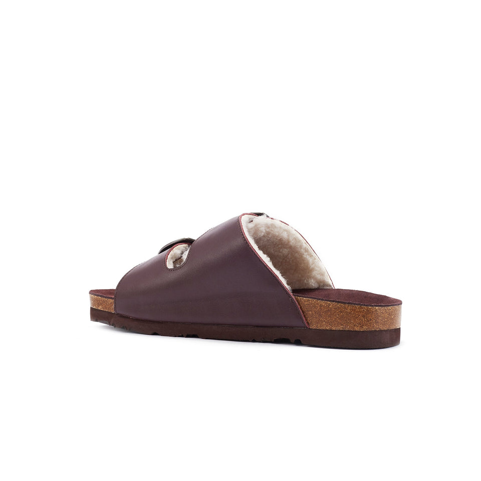 BRUGES PLUM