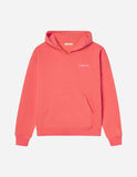 Basics Canyon Unisex Hoodie - Wear with style
