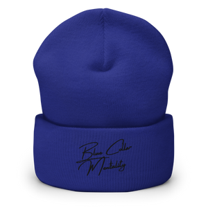 Cuffed Beanie