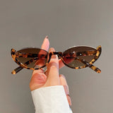 Cute Cat Eye Sunglasses - Wear with style