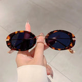 Friday Luxury Metal Designer Sunglasses - Wear with style