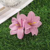 Gladiolus Flowers Small Hair Clip accessory - Wear with style
