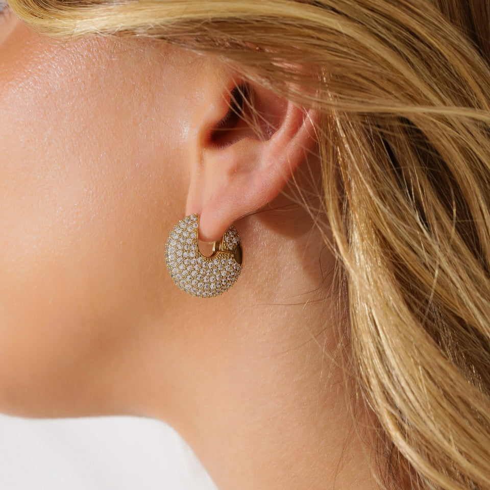 Glam Fiz Earrings - Wear with style