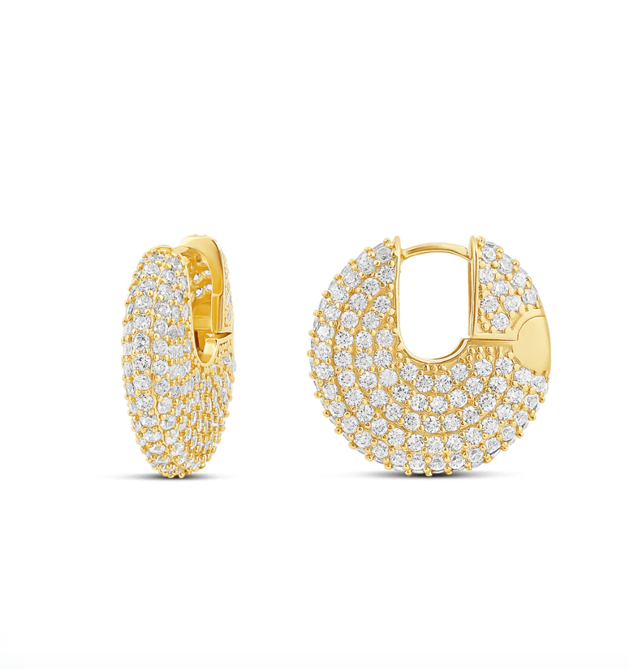 Glam Fiz Earrings - Wear with style