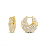Glam Fiz Earrings - Wear with style