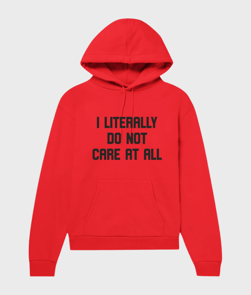 I Literally Do Not Care Hoodie - Wear with style