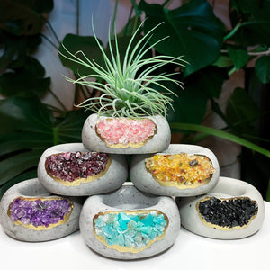 Geode Air Plant Holder -Amazonite Crystal Planter