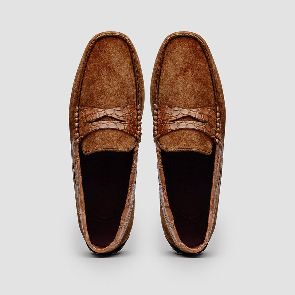 31-160-CGN MONZA Sueded Calfskin with Crocodile Driver, Cognac