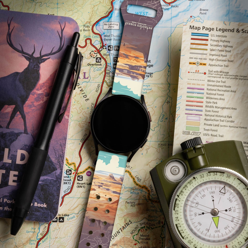 National Parks Petrified Forest HD Watchband for Samsung, Garmin, Fossil, and More - Wear with style