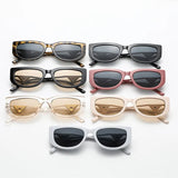 New Small Frame Cat Eye Sunglasses - Wear with style
