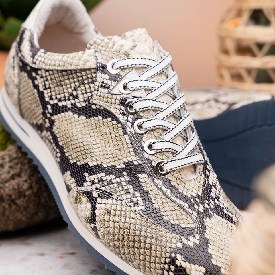65-215-WHT PERI Python Embossed Italian Calfskin Sneakers Black / White