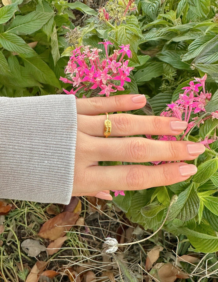 Prosperity Ring - Wear with style