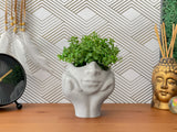 Face Succulent Planter on Two Hands