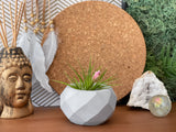 Geometric Air Plant Holder