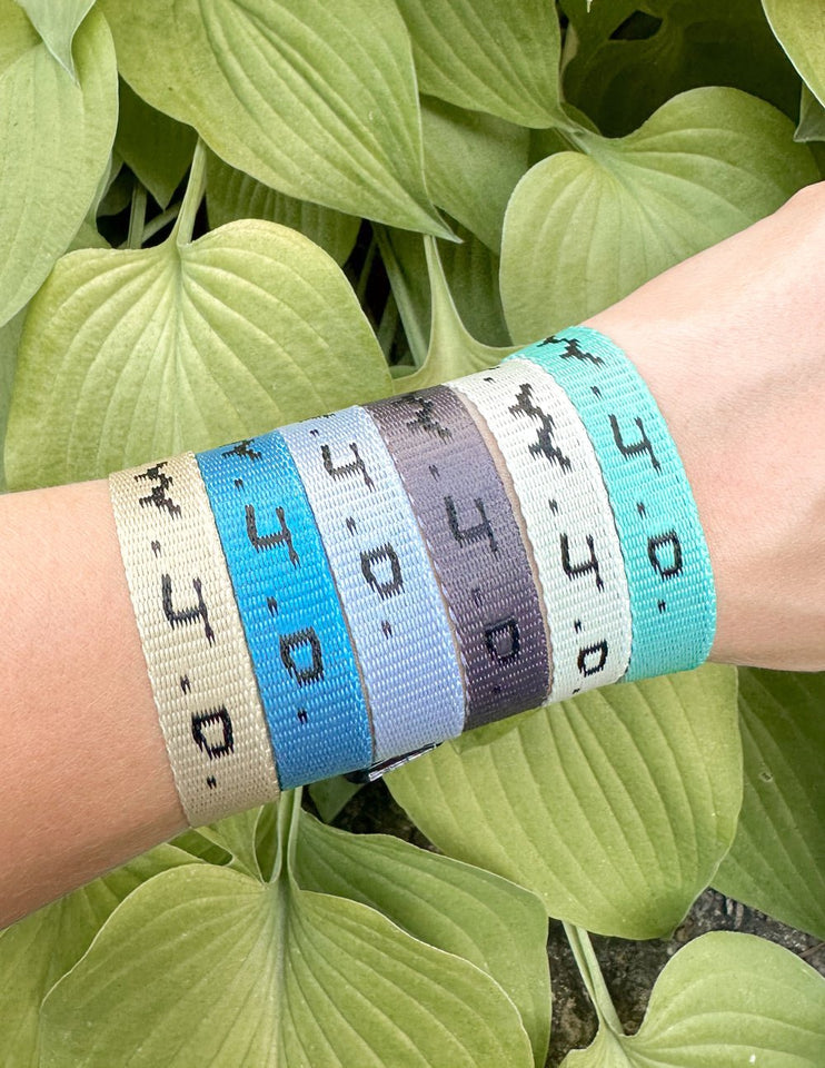 WWJD Surf Bracelet Pack - Wear with style
