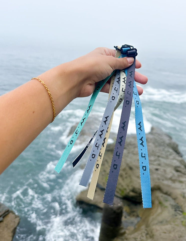 WWJD Surf Bracelet Pack - Wear with style